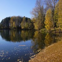 Бабье лето :: Наталия Григорьева