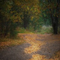 * :: Александр Иванов