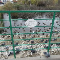 Уткин Дом. Смотровая площадка :: Андрей Макурин Уткин Дом. Смотровая площадка :: Андрей Макурин