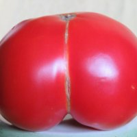 Не стоило присаживаться в крапиву... :: Егор Бабанов