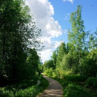 Дорожка в парке... Красивый пейзаж... :: Игорь Тельцов