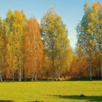 осень :: Владимир иванов