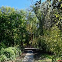 Сентябрь в парке Октября :: Нина Бутко