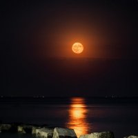 Восход луны :: Ирина 