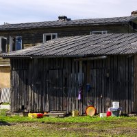 Дворовый натюрморт :: Регина 