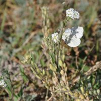 В сентябре на берегу реки :: Татьяна Машошина