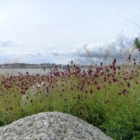 Береговые узоры города :: Серж Show