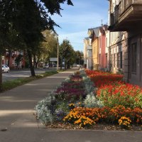 Просто осень... Великие Луки... :: Владимир Павлов