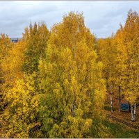 Осенний дождь :: Aquarius - Сергей