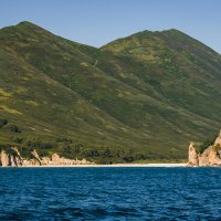 ... :: Жора Житников