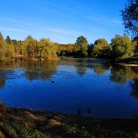 Октябрь уж наступил (Пушкин опять оказался прав) :: Андрей Лукьянов