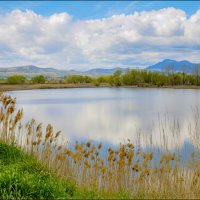 Американский пейзаж :: **** vedin