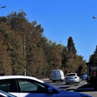 Городской пейзаж :: Юрий Гайворонскiий