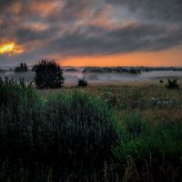 ...Туманное утро.! :: Павел Курков