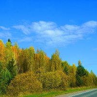 По дороге бабьего лета :: Галина Кан