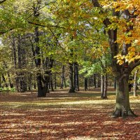 Осенний парк :: Светлана Ищенко Осенний парк :: Светлана Ищенко