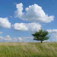 Безмятежность 11 :: Елена Елена