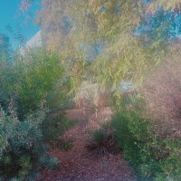 13  ОПЕН (450) :: OPEN WAYS ALL