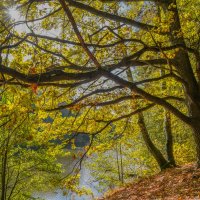 Октябрь в Царицыно... :: Владимир Жданов