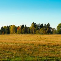 "Осенний марафон" 2 :: Роман никандров