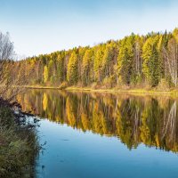 Река Ухта, 30 сентября. :: Николай Зиновьев