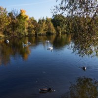 *** :: Владимир Безбородов