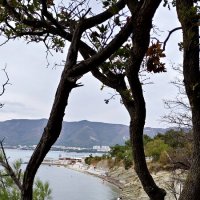 Берег. :: Александр Кондаков