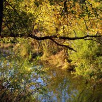 Октябрь :: Олегъ Петрович