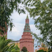 Вид с Манежной площади на одну из башен Кремля. :: Vlaimir 