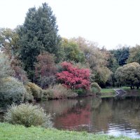 Уже не лето... :: genar-58 '