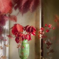 На тему красочного октября... :: Bosanat 