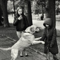 "яяА поговорить?.." :: СЮ "яяА поговорить?.." :: СЮ