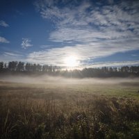 Утренний туман. :: Валерий 