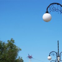 этюд :: Елена Шаламова