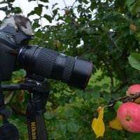 Юный натуралист... )) :: Владимир Хиль