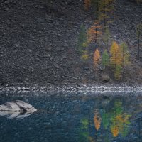 * :: Александр Иванов