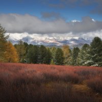 * :: Александр Иванов