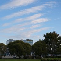 Утро :: Лютый Дровосек