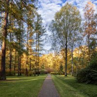 Осенний свет :: Евгений 