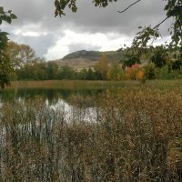 Зеркало жизни. :: Андрей Хлопонин