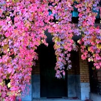 Осенний интерьер :: Елена Семигина