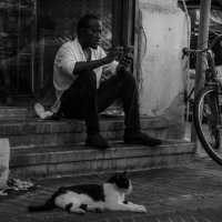 "черный верх, белый низ..." :: alex chernin