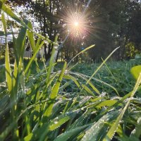 Лучики :: Ирина Жигунова