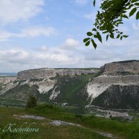 Природа Крыма :: Amazing Cosmea