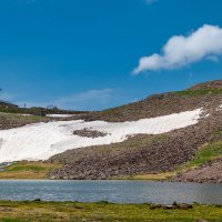 У подножия горы Арагац. Армения. :: Дина Евсеева