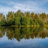 Бабье лето 12 :: Андрей Дворников Бабье лето 12 :: Андрей Дворников