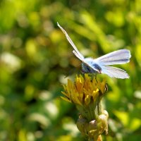 . :: Андрей Катков