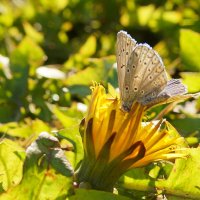 .... :: Андрей Катков