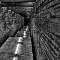 Путеводный луч :: Регина 