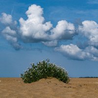 Здесь раньше был океан :: Георгий А